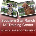 Learn To Train Dogs